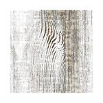 ダイノック ファインウッド FW-1307 パイン/ラーチ 板目 トレード