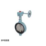 消防認定品 ダクタイルバタ F 16L2-N-UE 東洋バルヴ