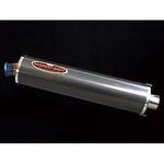 NASSERT-3D Ti/Ca ZRX1200R/S 03-07 BEET