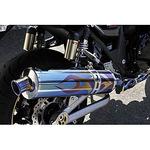 N-3D STD Ti/FL ZRX1200 DAEG BEET