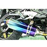 N-Evo TI/SB ER-6f 09-10 BEET