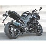 N-Evo T2 TI/TI Ninja1000/ABS 14- BEET