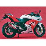 New N-R TI/オーバルSUS S/O Ninja250R BEET