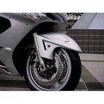 エアロシャークF.(シロ) ZZ-R1200 BEET