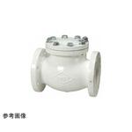 鋳鉄 ナイロンチャッキ J10-FNSF-CN J10-FNSF-CNシリーズ 東洋バルヴ