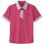 HEARTGREEN シャツブラウス KNITTI SHIRT NECKTIE バラ園 HM2629シリーズ カーシーカシマ