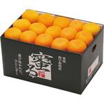 愛媛県産 蜜るみかん ノーブランド 愛媛県産 蜜るみかん ノーブランド
