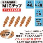 チップ 東安