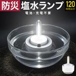 塩水フローティングランプ TAIGASHOJI(大河商事) 塩水フローティングランプ TAIGASHOJI(大河商事)