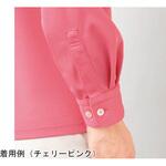 HEARTGREEN 長袖プルオーバー HM2188シリーズ カーシーカシマ
