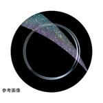 天の河 福井クラフト