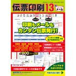 CIDD54_SP 伝票印刷 13 ティービー