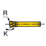 チップ GIM イスカル