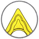 チップ TNMG-PP イスカル