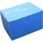 プラダン製A式箱 プライタBOX 宅配タイプ 少量 プライタ