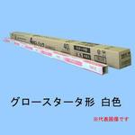 ライフライン 40W形 HotaluX(ホタルクス)