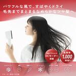 ドライヤー 速乾 大風圧 髪のうねり抑制 ツヤ出し&ストレートツール プロテクトイオン 静電気抑制 軽量 テスコム
