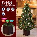 木製ポット付き クリスマスツリーセット ノルディックグロー[ストエキオリジナル] ストア・エキスプレス