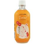 EMW EM研究所 EMW EM研究所
