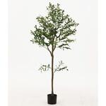 41121 フェイクグリーン オリーブ 150cm ジョイント 不二貿易