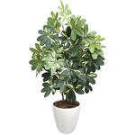 人工観葉植物 シェフレラ Lサイズ ササガワ