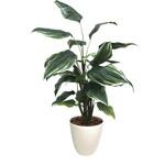 人工観葉植物 ホスタ Lサイズ ササガワ