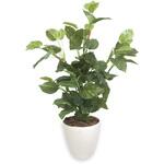 人工観葉植物 マネーツリーポトス Lサイズ ササガワ
