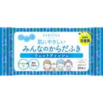 キレイナ 肌にやさしいみんなのからだふき 四国紙販売 キレイナ 肌にやさしいみんなのからだふき 四国紙販売
