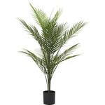 アレカパーム※ FRECCE