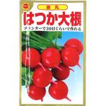 【タネ】赤丸 はつか大根 アタリヤ農園