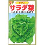 【タネ】レタス サラダ菜 アタリヤ農園