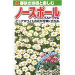 CAT700674 【タネ】春咲き球根と楽しむ ノースポール パルドーサム アタリヤ農園