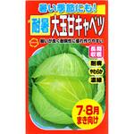 CAT700666 【タネ】暑い季節にも! 耐暑大玉甘キャベツ 1袋 アタリヤ