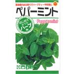 CAT699177 【タネ】ペパーミント はじめておうちハーブ アタリヤ農園