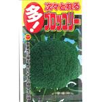 【タネ】多! 次々とれる ブロッコリー アタリヤ農園