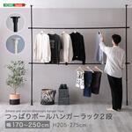 つっぱりハンガーラック 2段 幅250cm ホームテイスト