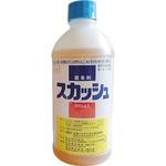 スカッシュ 丸和バイオケミカル