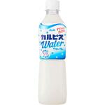 アサヒ飲料 カルピス カルピスウォーター ペット 500mlx24 カルピス