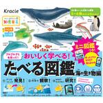 クラシエフーズ たべる図鑑 海の生き物編 13gx5 クラシエ
