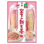 ニチフリ 岩下の新生姜味ふりかけ 20gx10 ニチフリ食品