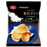 ヤマザキビスケット アツギリ贅沢ポテトフランス産岩塩しお 55gx12 ヤマザキビスケット