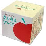 ラグノオささき 気になるリンゴ 1個x12 ラグノオささき