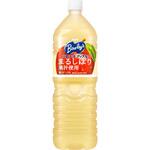 アサヒ飲料 バヤリース アップル ペット 1.5Lx8 アサヒ飲料