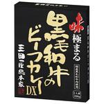 三田屋総本家 黒毛和牛のビーフカレーDX 220gx10 三田屋総本家
