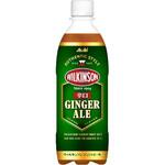 アサヒ飲料 ウィルキンソン ジンジャエール ペット 500mlx24 アサヒ飲料
