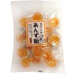 中島製菓 あんず飴 117gx12 中島製菓