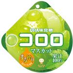 味覚糖 コロロ マスカット 48gx6 UHA味覚糖