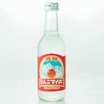 友桝飲料 信州 りんごサイダー 瓶 245mlx24 友桝飲料