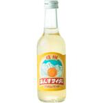 友桝飲料 信州 杏サイダー 瓶 245mlx24 友桝飲料