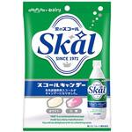 扇雀飴本舗 スコールキャンデー 50gx20 扇雀飴本舗